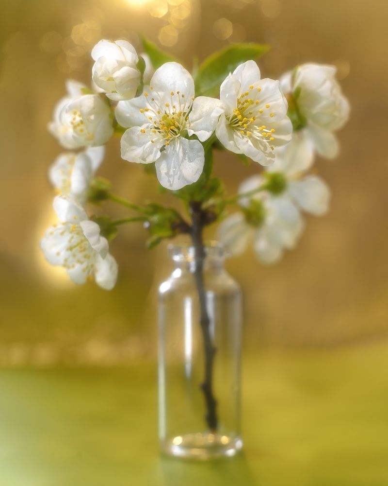 Photograph by Валерий Вторыгин