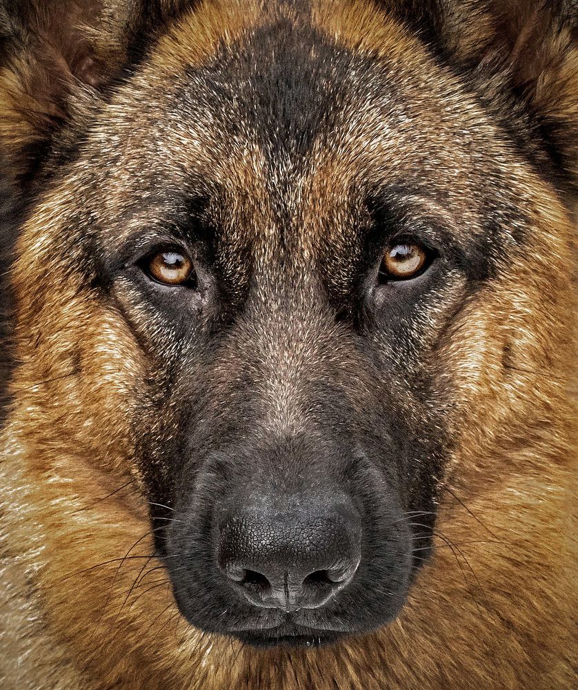 Photograph by Mario Fiorucci