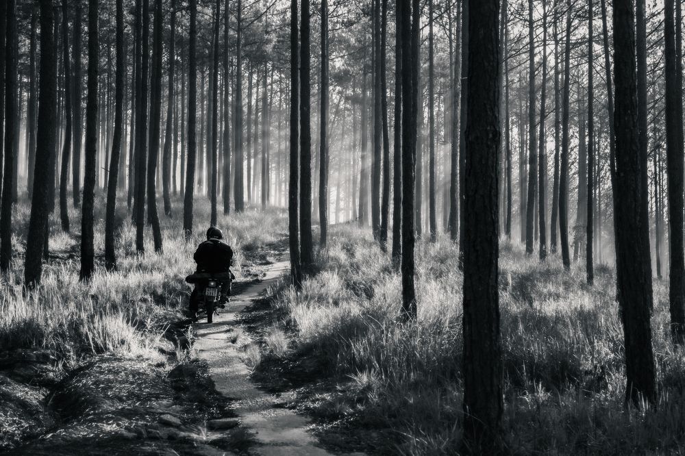 Photograph by Nguyen Ngoc Tuan