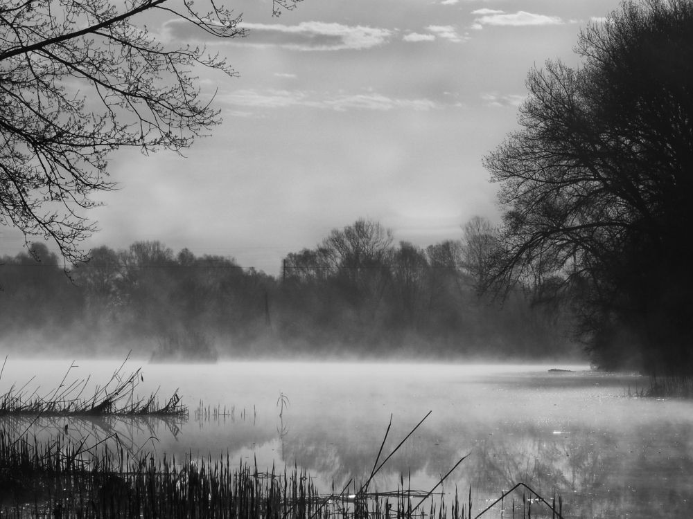 Photograph by Савоцкий Роман