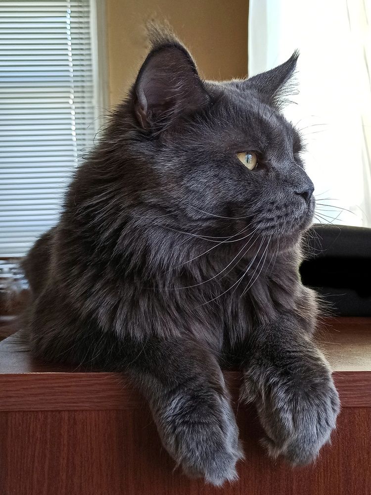 Photograph by Ирина Дегтярева