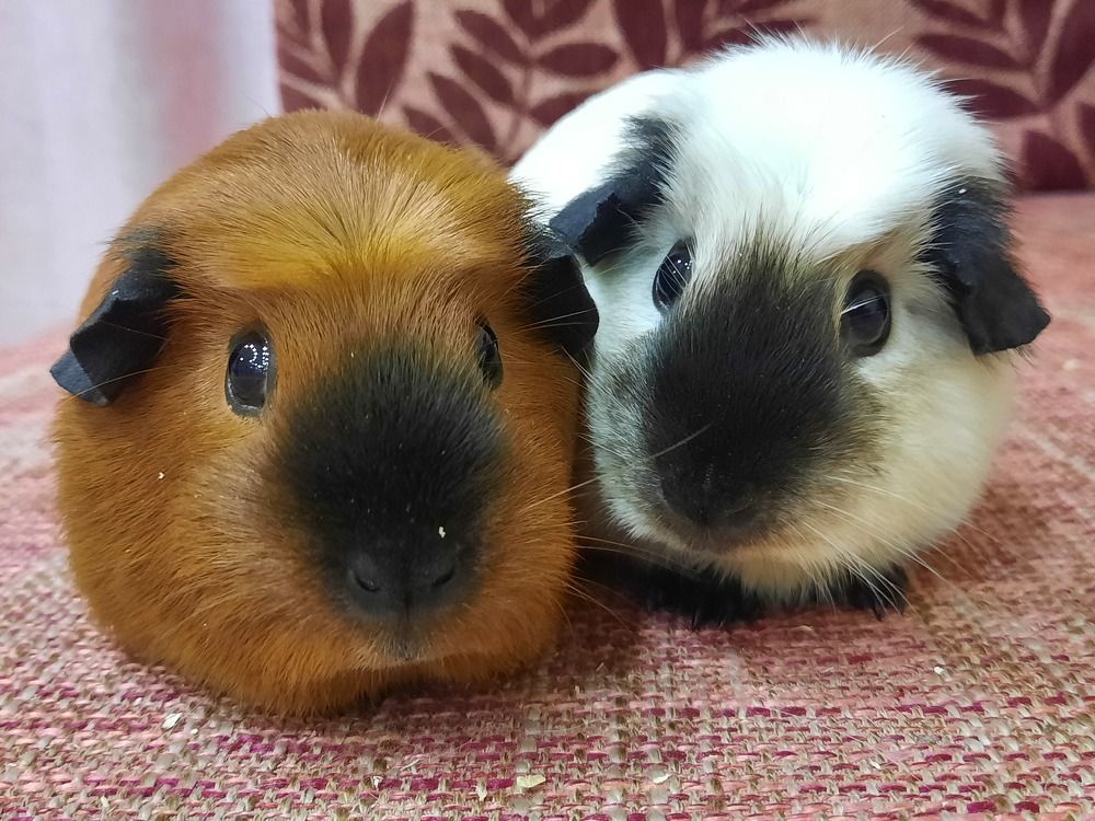 Photograph by Ольга Закаблуковская