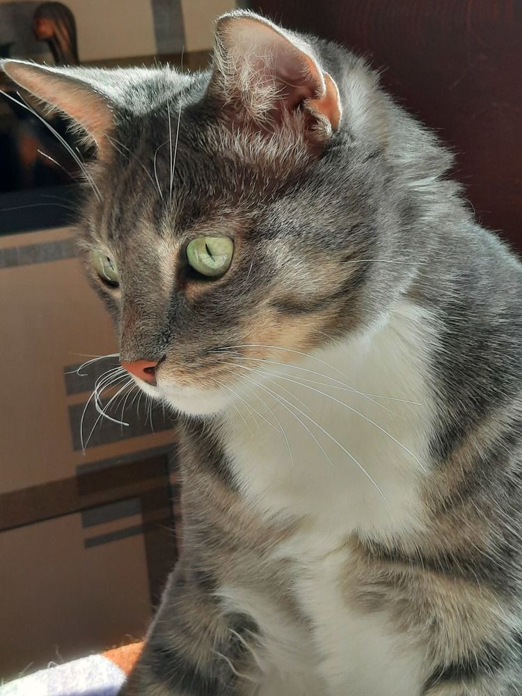 Photograph by Ольга Закаблуковская