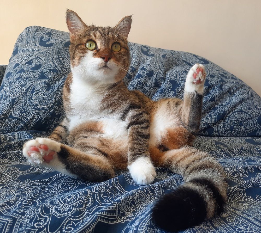 Photograph by Ольга Закаблуковская