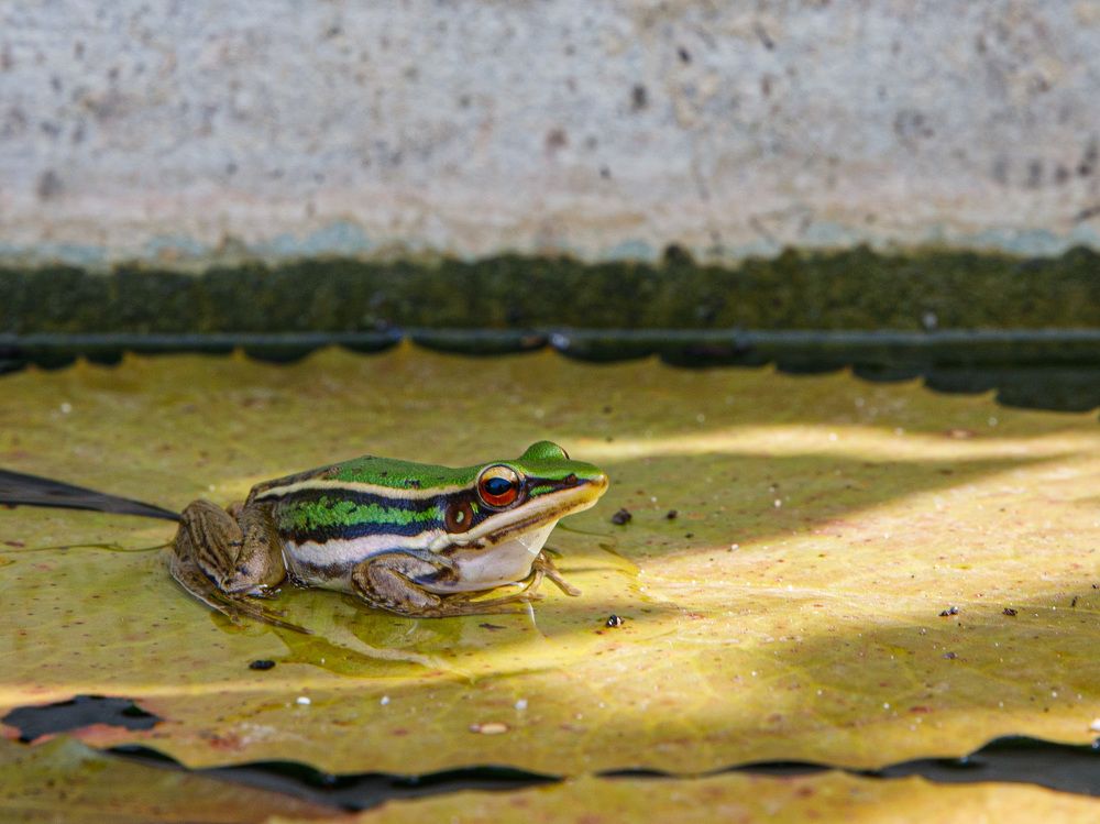 Photograph by Людмила Аксенова