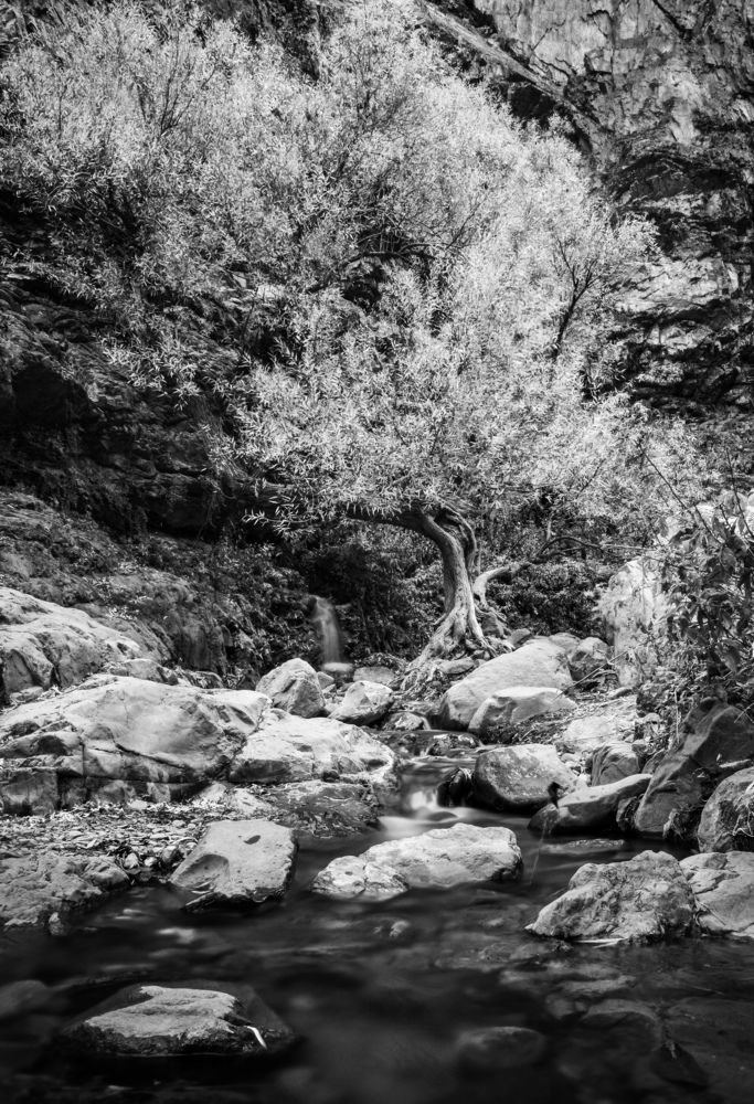 Photograph by Farshad Yazdankhah