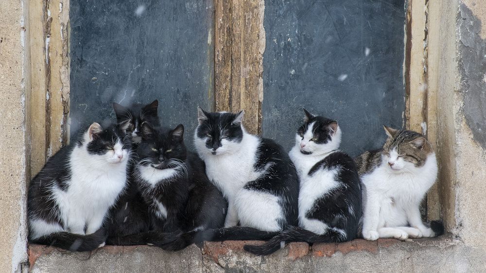 Photograph by Людмила Железнова