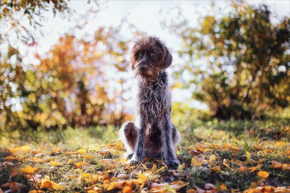 Photograph by Игорь Майоров