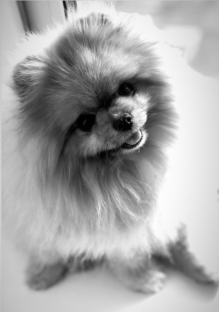 Photograph by Анна