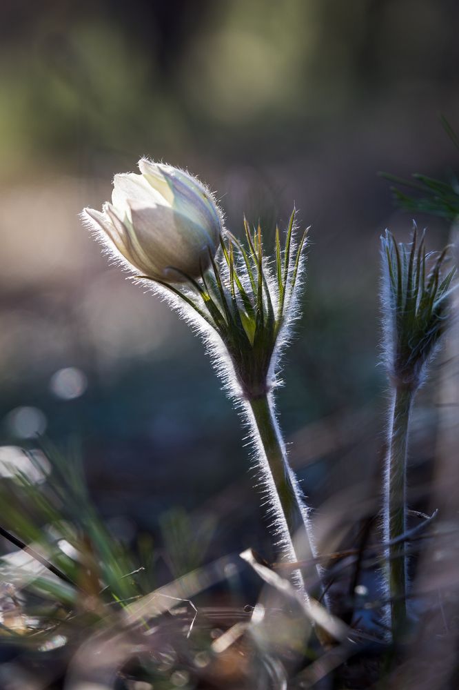 Photograph by Юрий