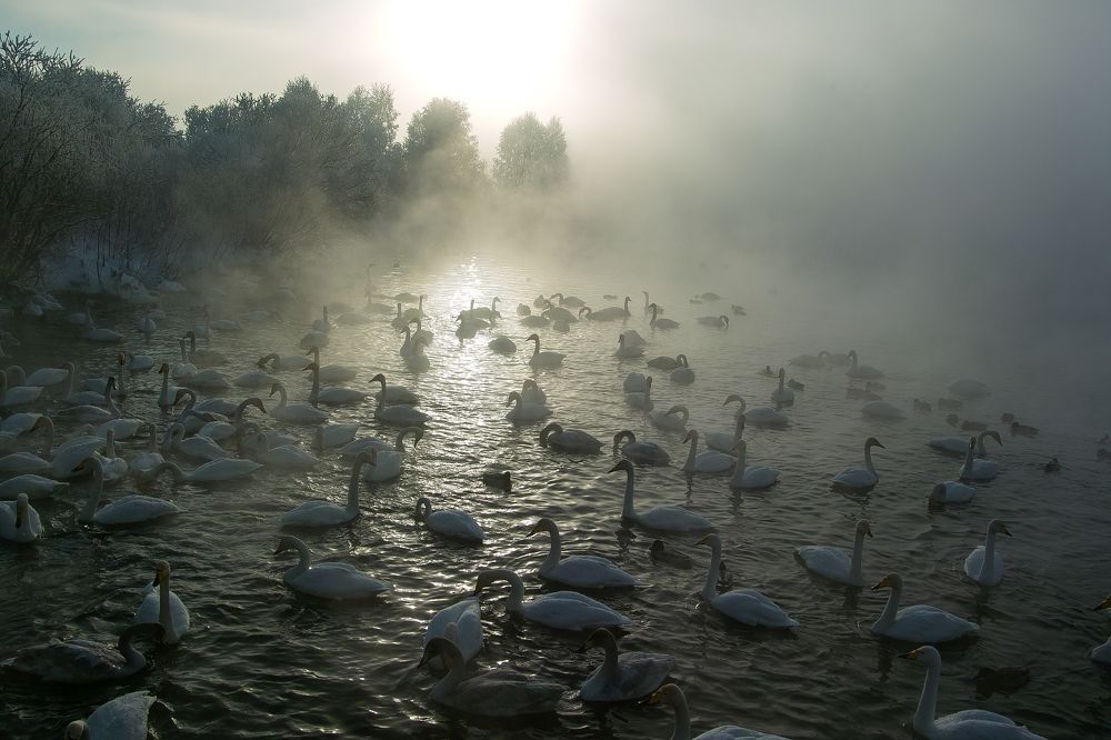 Photograph by Вараксин Николай