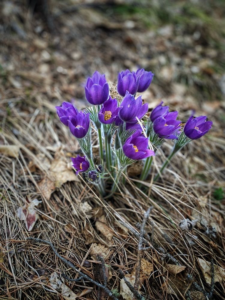 Photograph by Мария Поливода