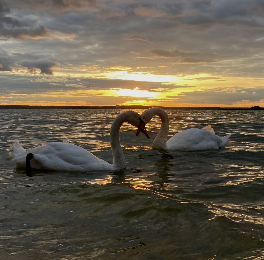 Photograph by Татьяна Маслова