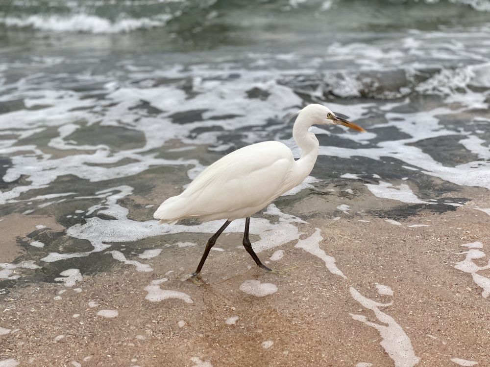 Photograph by Татьяна Маслова