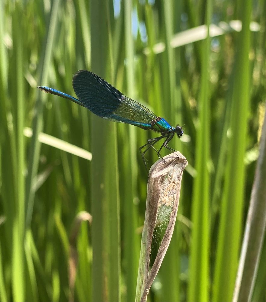 Photograph by Татьяна Маслова