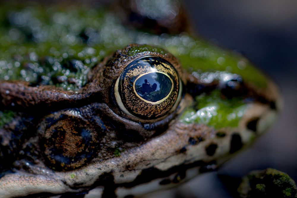 Photograph by fereydoon deliry