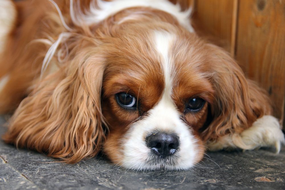 Photograph by Сергей Иванов