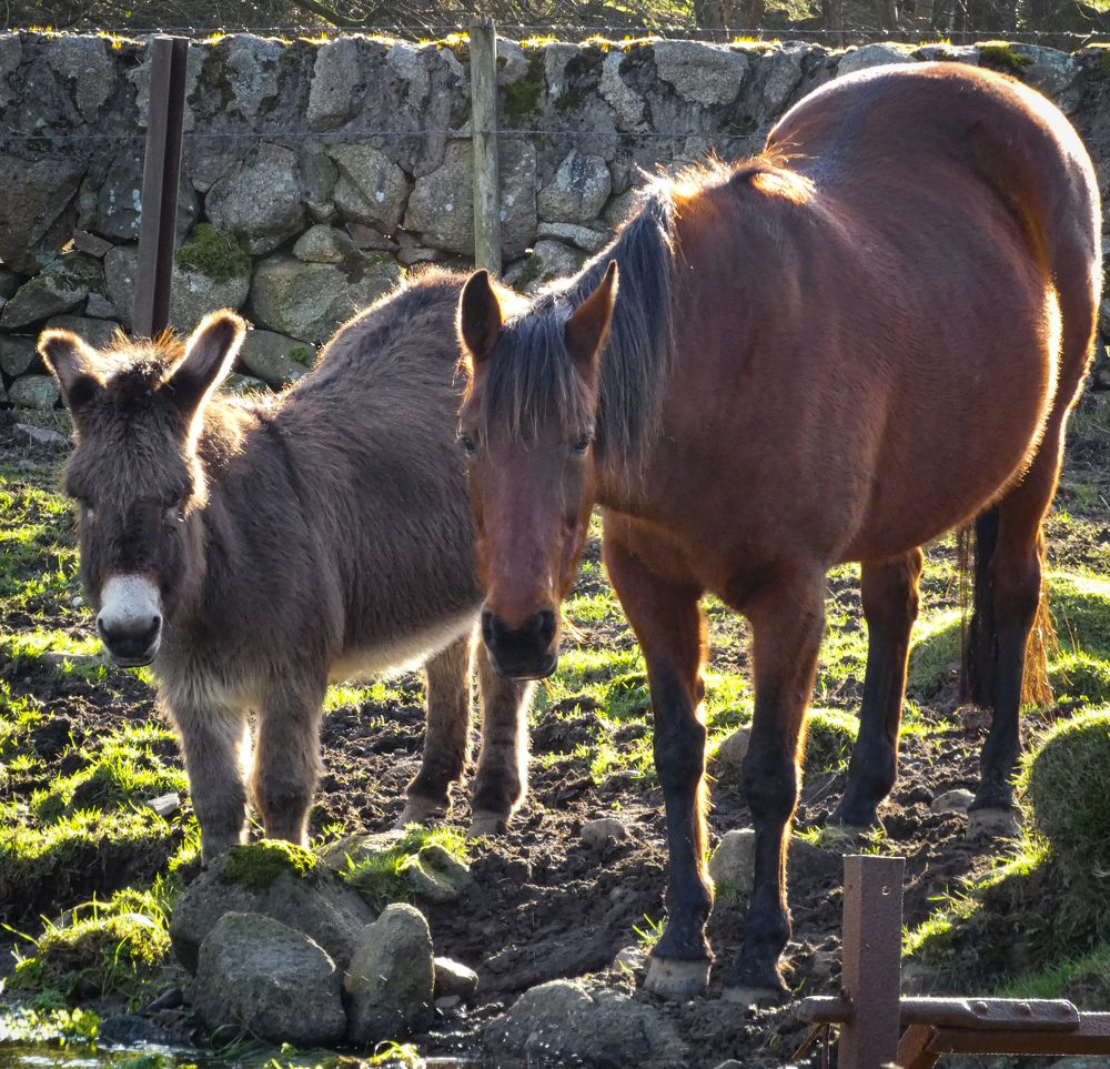Фотография автора Michael Gault