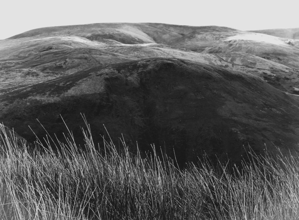 Фотография автора Michael Gault