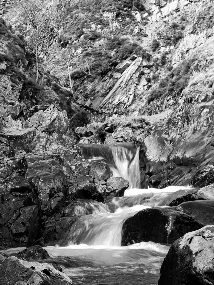 Фотография автора Michael Gault