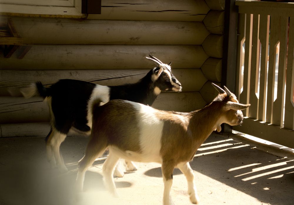 Photograph by Вера Васютина