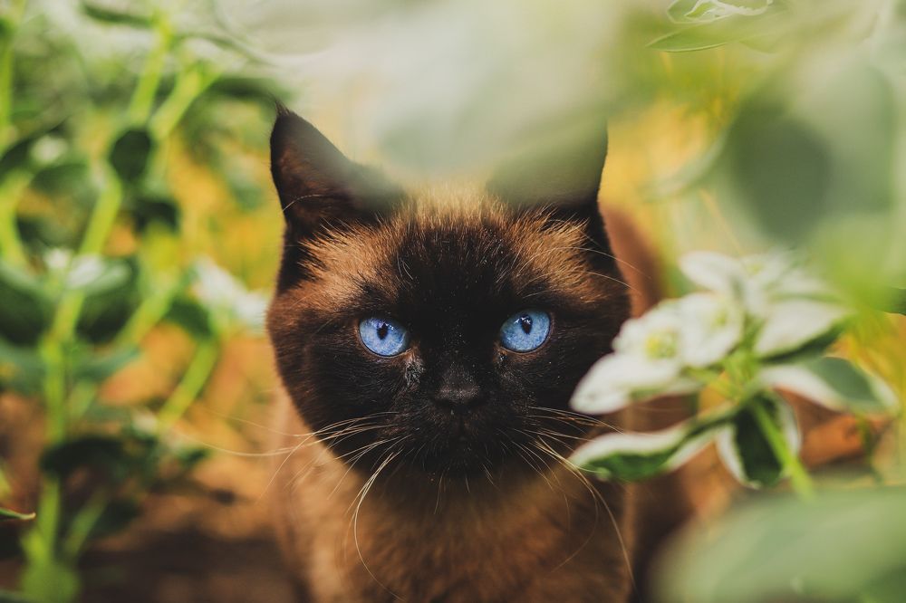 Photograph by Николай Стрельников