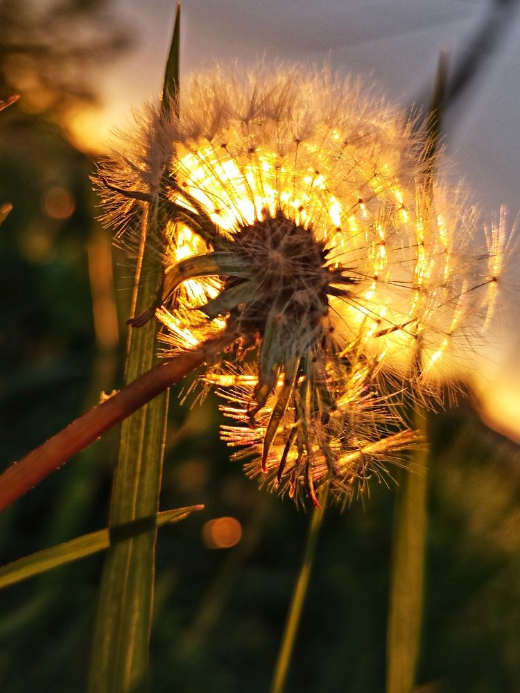 Фотография автора Татьяна Долгушева