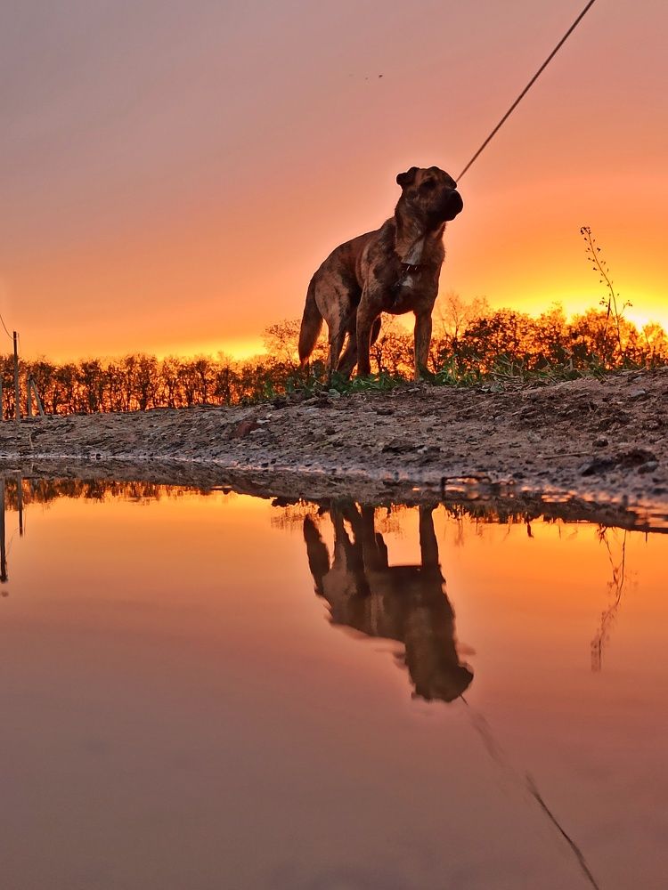 Фотография автора Татьяна Долгушева