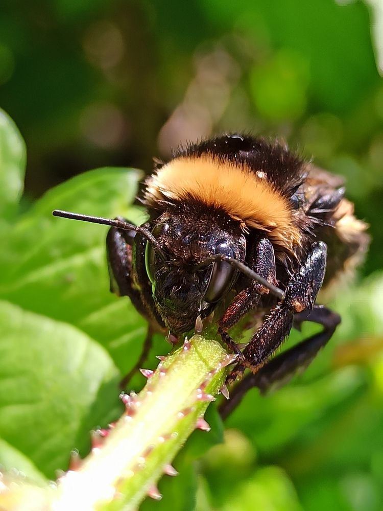 Фотография автора Татьяна Долгушева