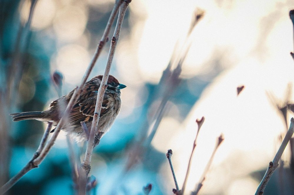 Photograph by Николай Стрельников