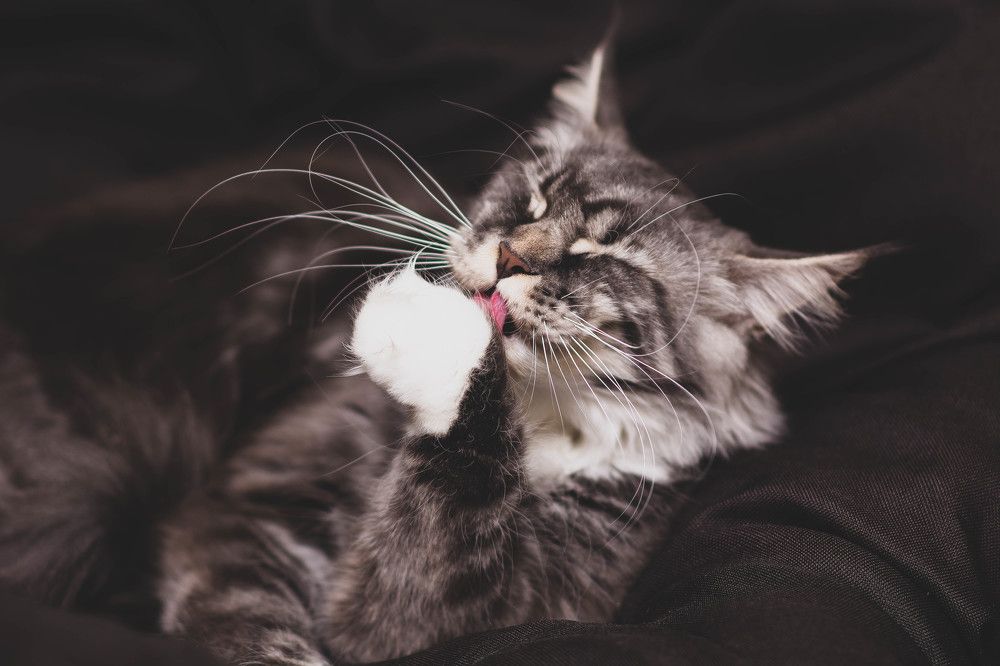 Photograph by Светлана Антипова