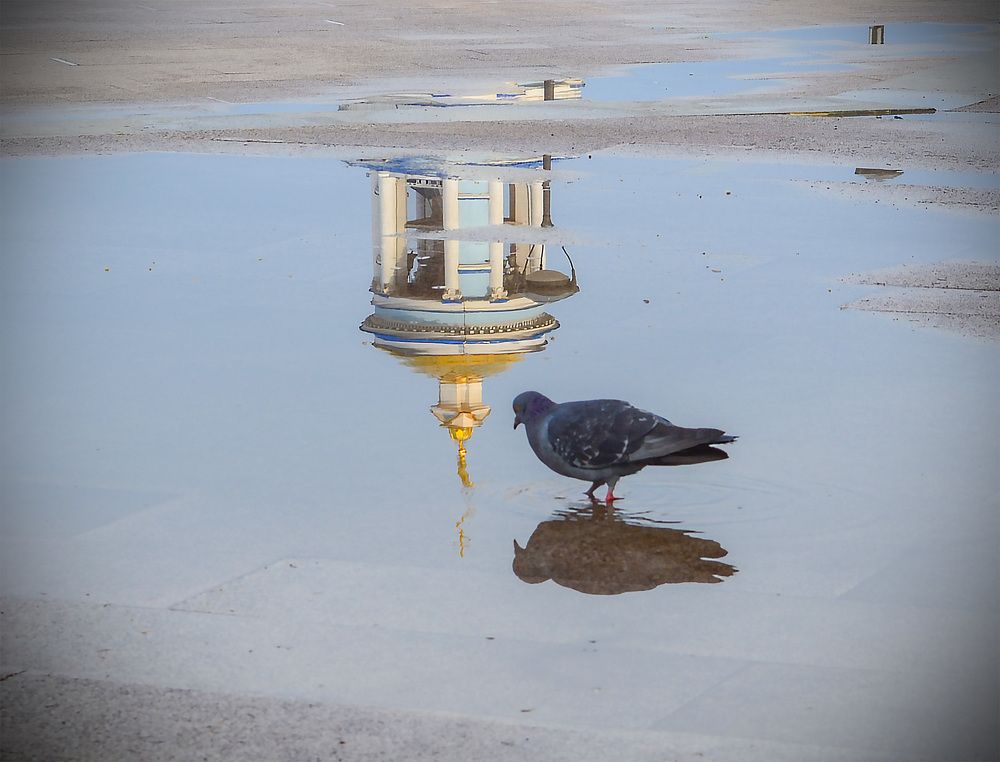 Photograph by Андрей Семенченко