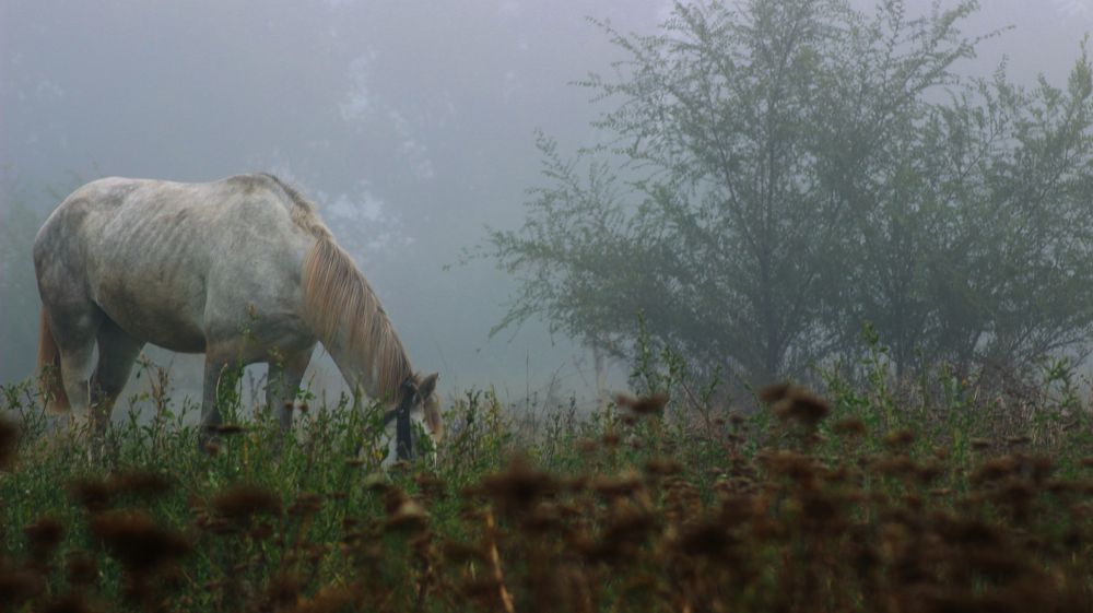 Photograph by Вадим Буцыкин