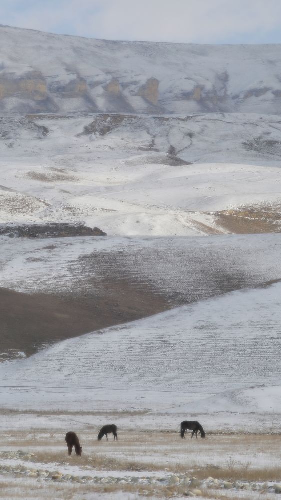 Photograph by Вадим Буцыкин