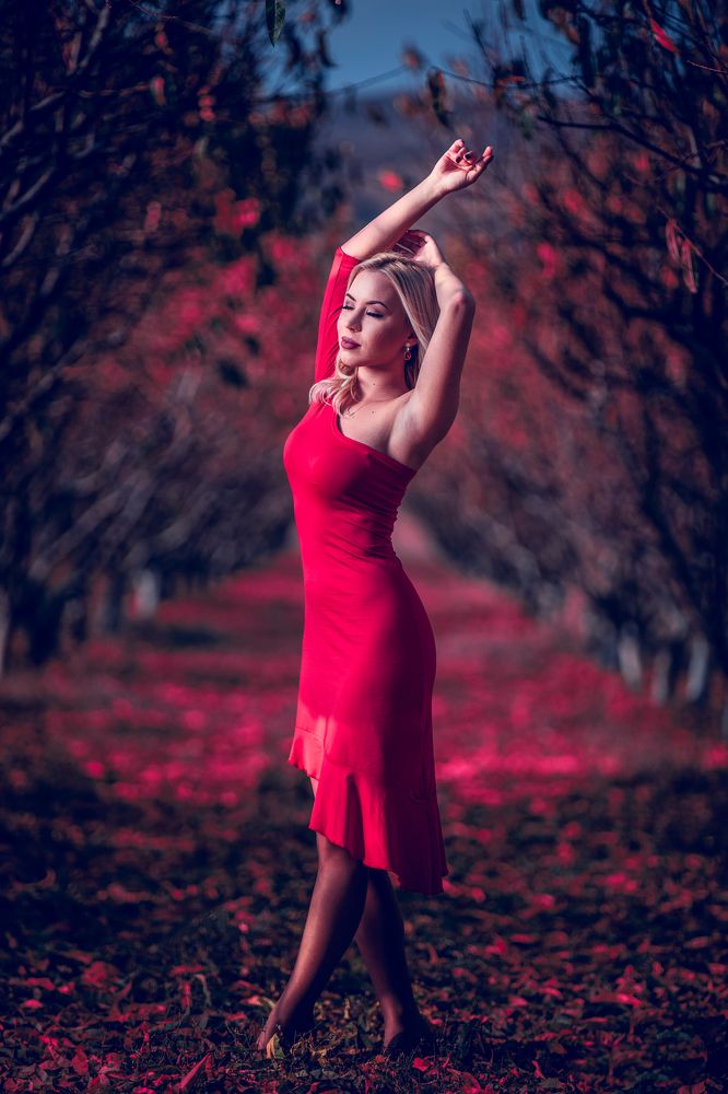 Photograph by Hasan Kodzhaveizov