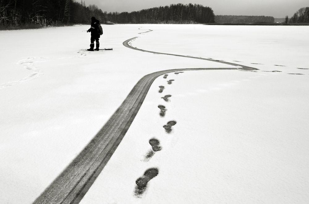 Photograph by Yulia