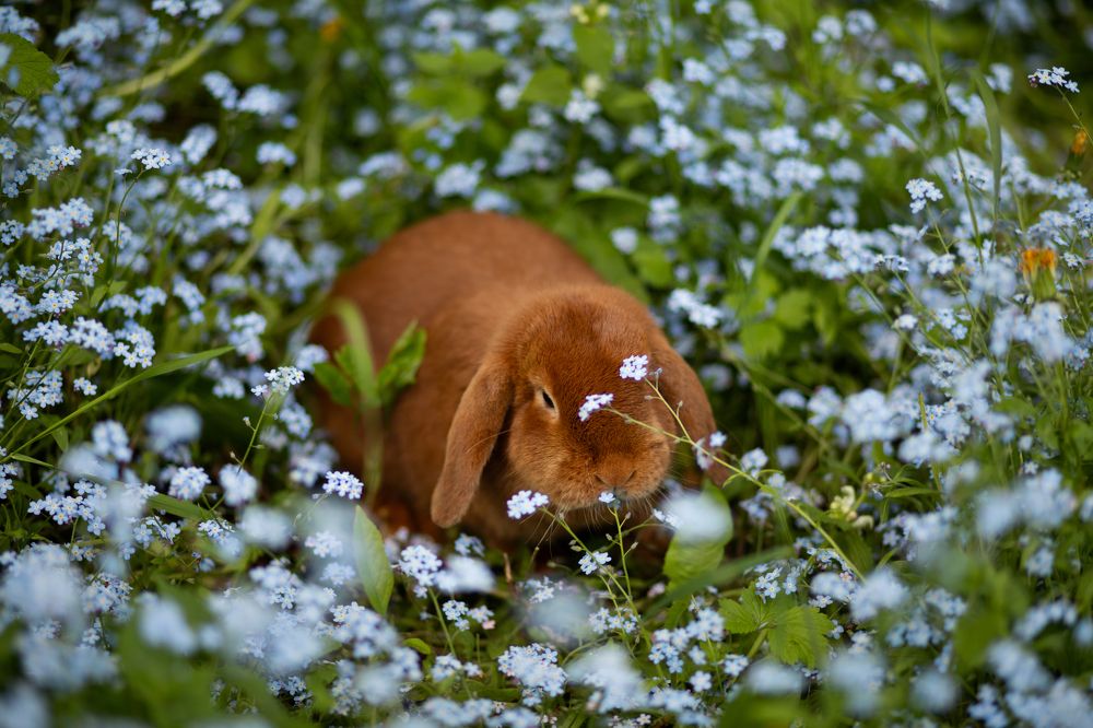 Photograph by Маргарита Черкасова