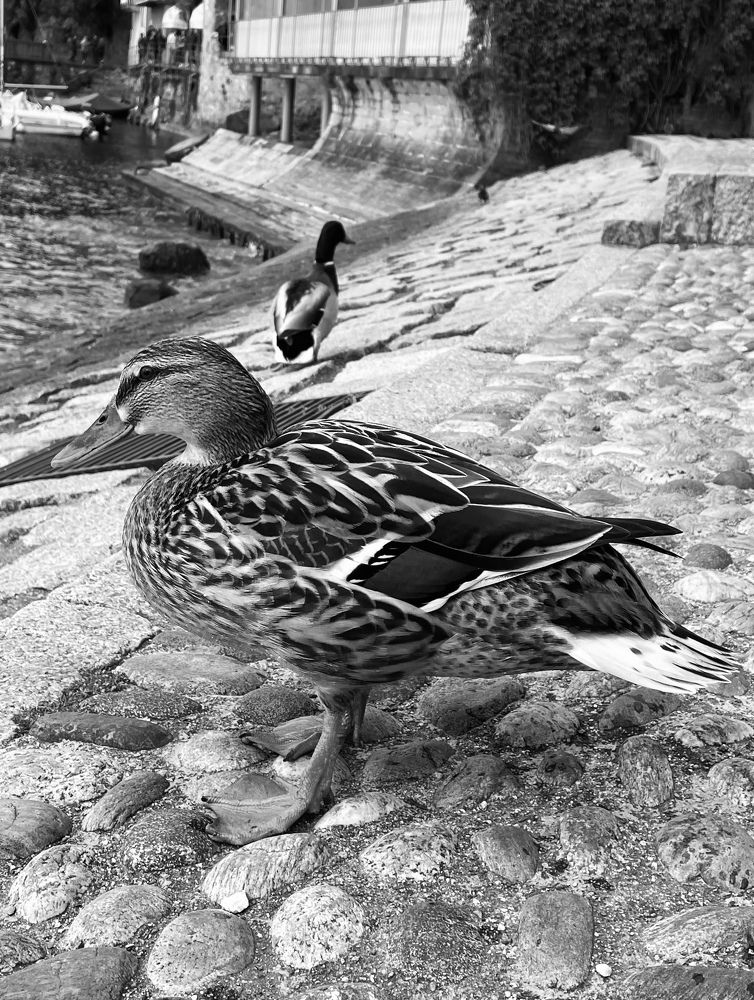 Photograph by Юлия Смирнова