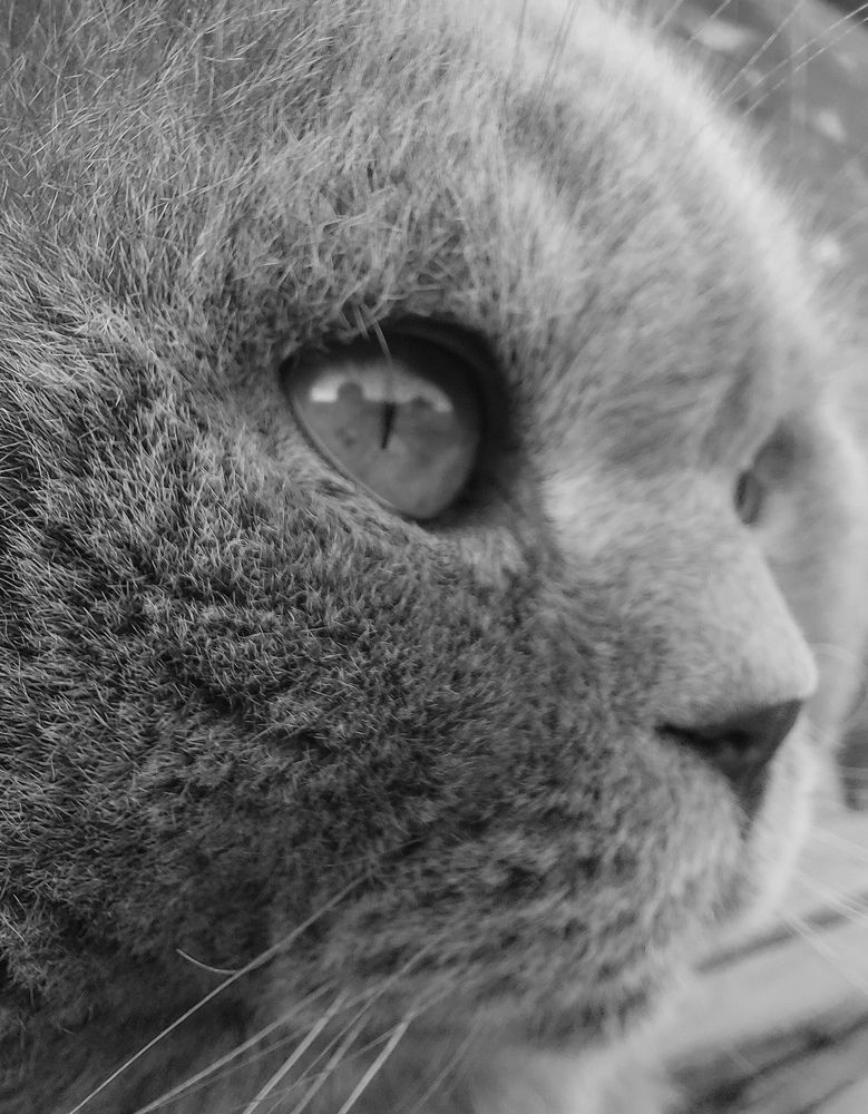 Photograph by Ksenia Lukina