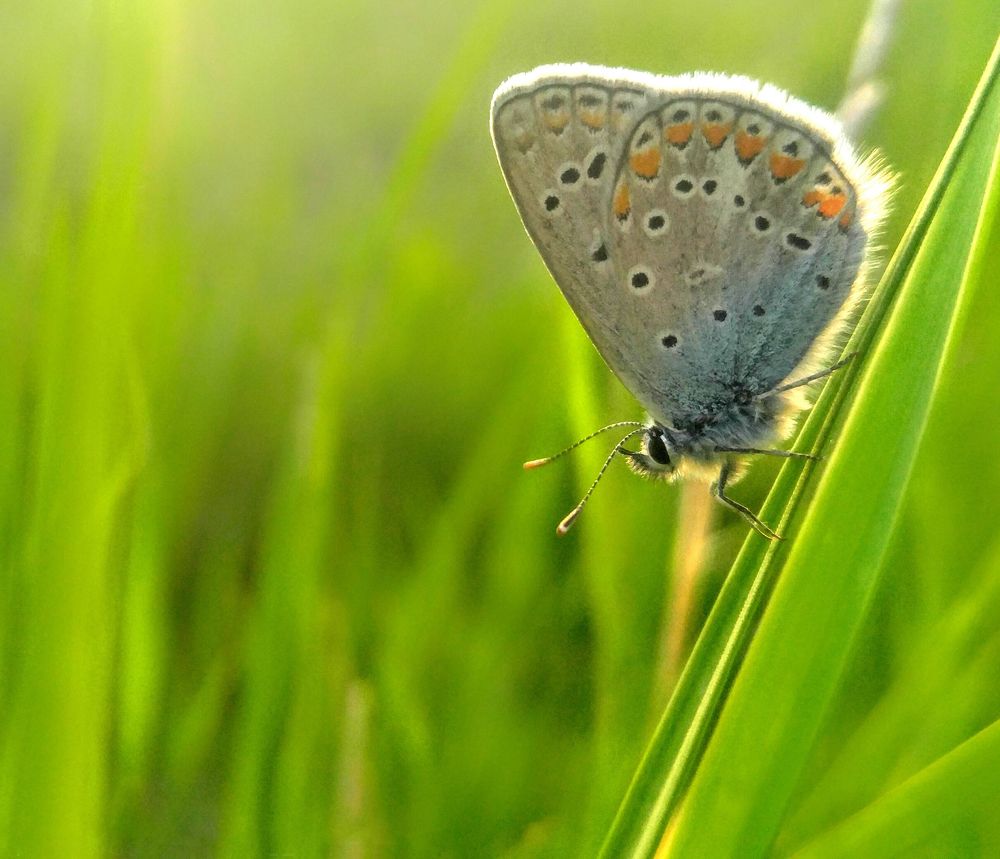 Photograph by Reza Heydari