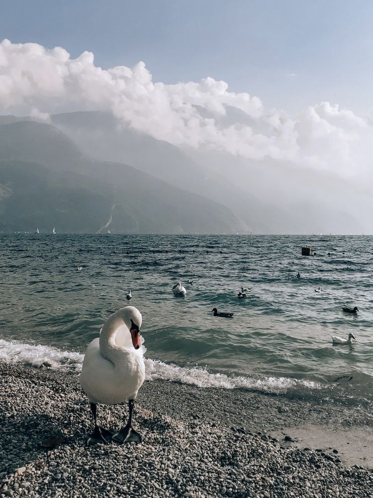 Photograph by Юлия Смирнова