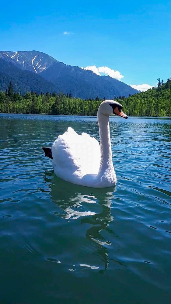 Photograph by Ksenia Lukina