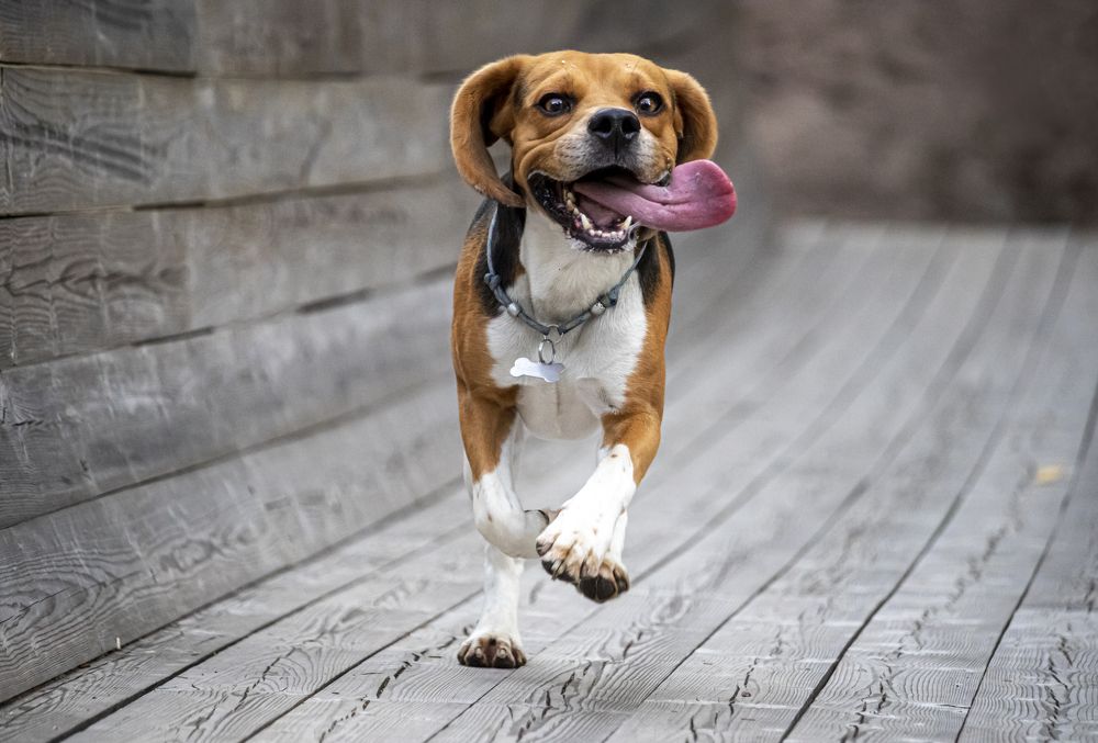 Photograph by Юлия Куликова