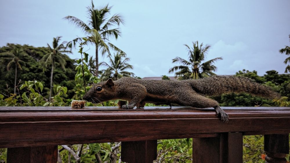 Photograph by Iuliia Akhulkova