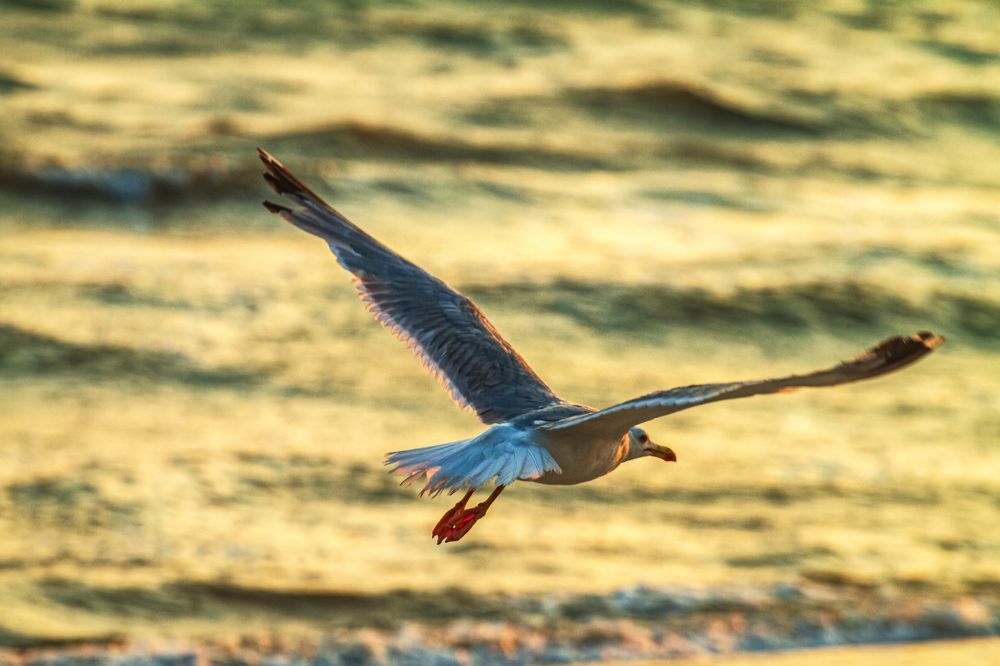 Photograph by Андрей Данилюк