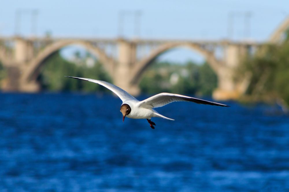 Photograph by Андрей Данилюк