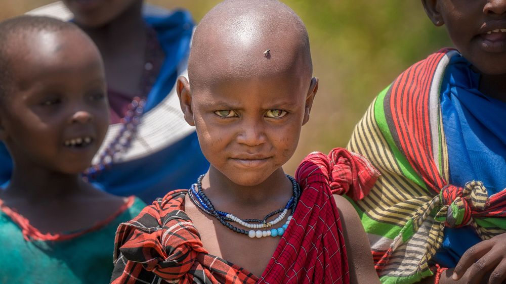 Photograph by Artem Khazov