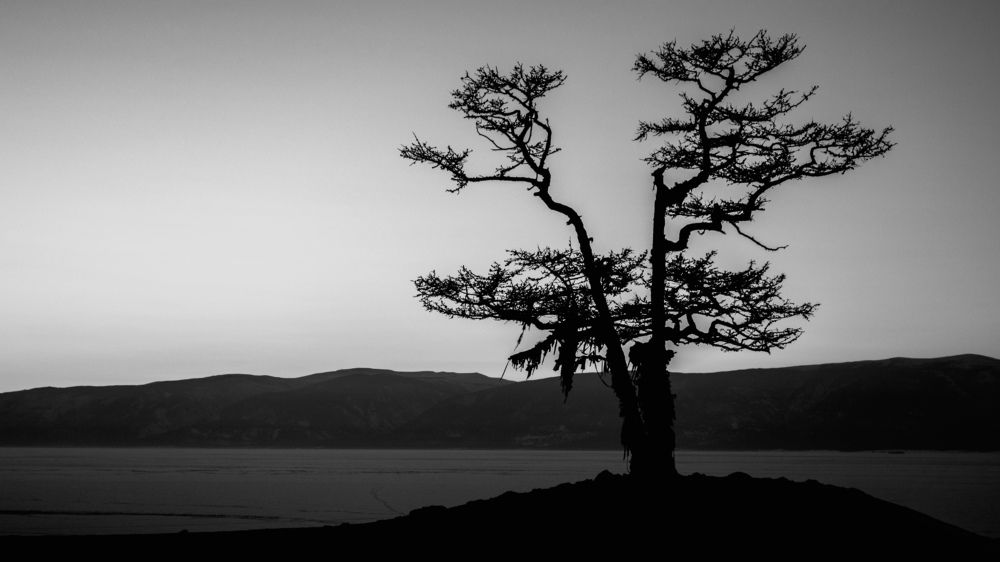 Photograph by Олег Смурыгин