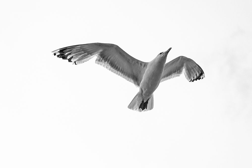 Photograph by дмитрий игнатов