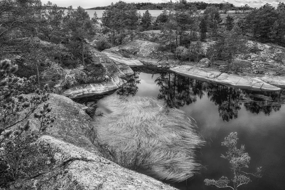 Photograph by Сергей Лазарев